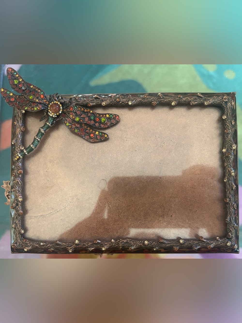 Jay Strongwater Swarovski Crystal Dragonfly Jeweled Picture Frame - 4x6